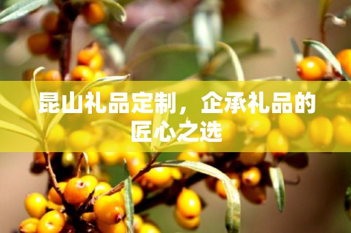 昆山礼品定制，企承礼品的匠心之选